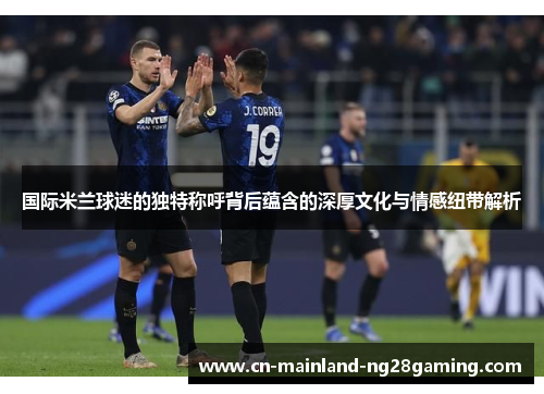 国际米兰球迷的独特称呼背后蕴含的深厚文化与情感纽带解析