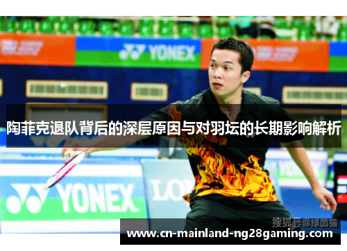 陶菲克退队背后的深层原因与对羽坛的长期影响解析