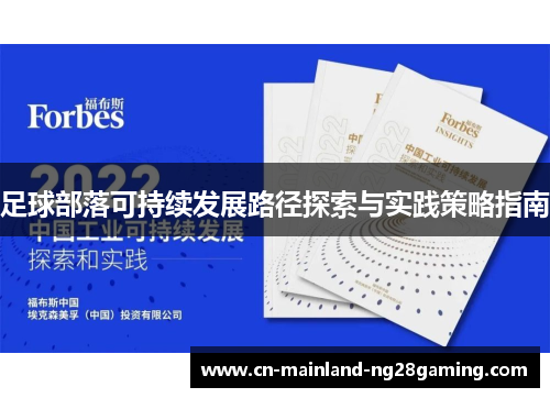足球部落可持续发展路径探索与实践策略指南