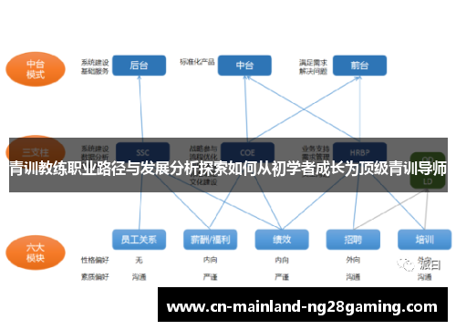 青训教练职业路径与发展分析探索如何从初学者成长为顶级青训导师 青训教练职业路径与发展分析探索如何从初学者成长为顶级青训导师