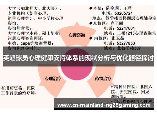 英超球员心理健康支持体系的现状分析与优化路径探讨