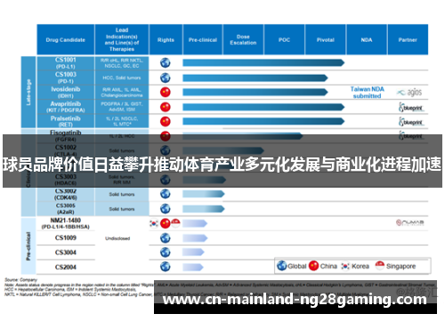 球员品牌价值日益攀升推动体育产业多元化发展与商业化进程加速