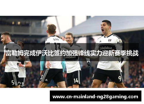 富勒姆完成伊沃比签约加强锋线实力迎新赛季挑战