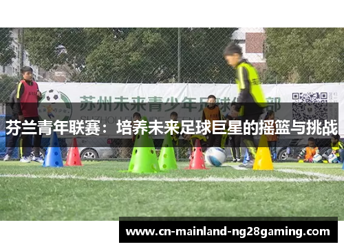 芬兰青年联赛：培养未来足球巨星的摇篮与挑战