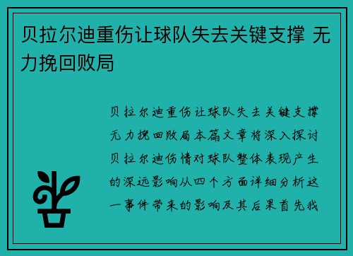 贝拉尔迪重伤让球队失去关键支撑 无力挽回败局